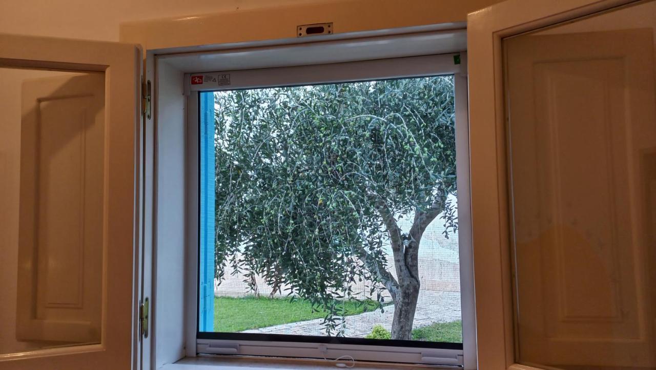 Villino Tronchetto Bianco Bed and Breakfast Mola di Bari Εξωτερικό φωτογραφία