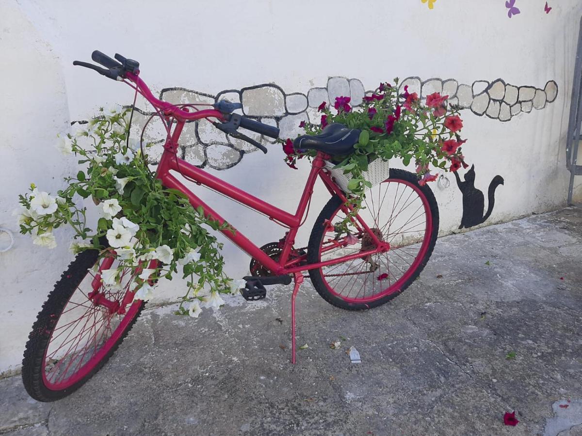 Villino Tronchetto Bianco Bed and Breakfast Mola di Bari Εξωτερικό φωτογραφία