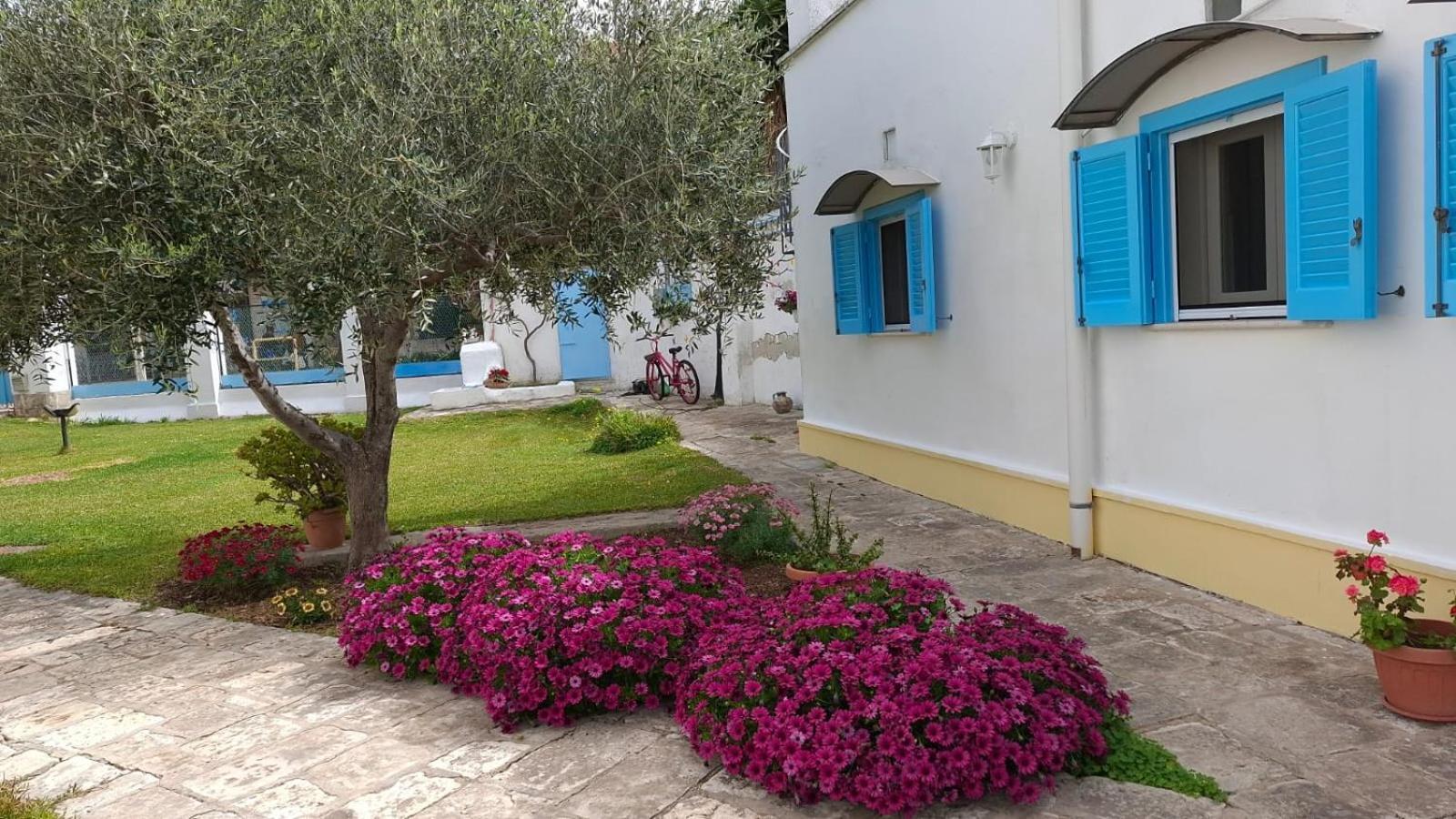 Villino Tronchetto Bianco Bed and Breakfast Mola di Bari Εξωτερικό φωτογραφία