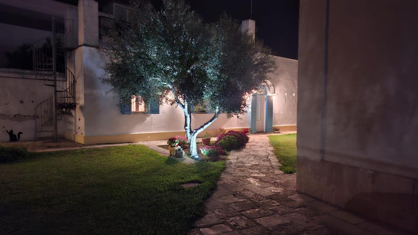 Villino Tronchetto Bianco Bed and Breakfast Mola di Bari Εξωτερικό φωτογραφία